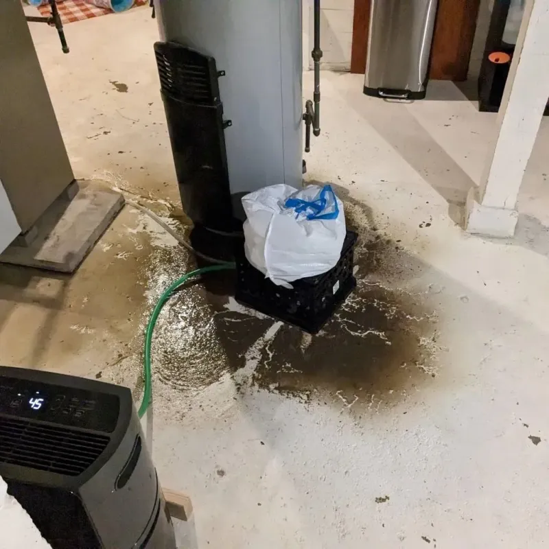 Sewage Backup Cleanup Service in Leonardo, NJ